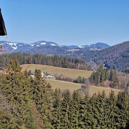 Natur- & Erlebnis Ferienhaus Voitsberg Zewnętrze zdjęcie