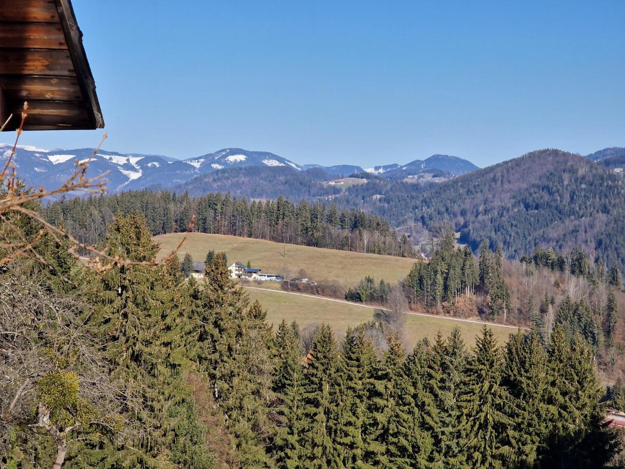 Natur- & Erlebnis Ferienhaus Voitsberg Zewnętrze zdjęcie